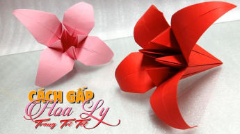 Cách Gấp Hoa Ly Trang Trí Tết