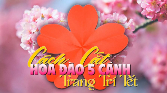 Cách Cắt Hoa Đào 5 Cánh Trang Trí Tết