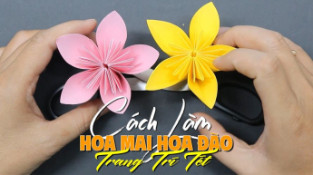 Cách Làm Hoa Mai Hoa Đào Trang Trí Tết