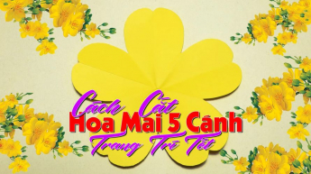 Cách Cắt Hoa Mai 5 Cánh Trang Trí Tết